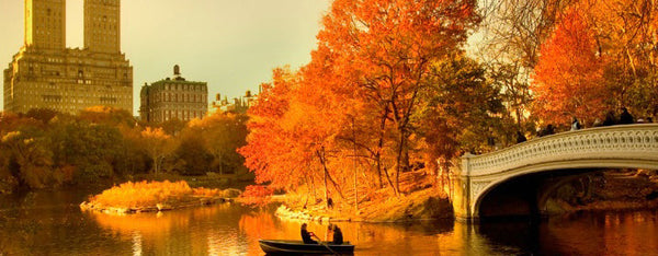 Iconic Autumn in New York